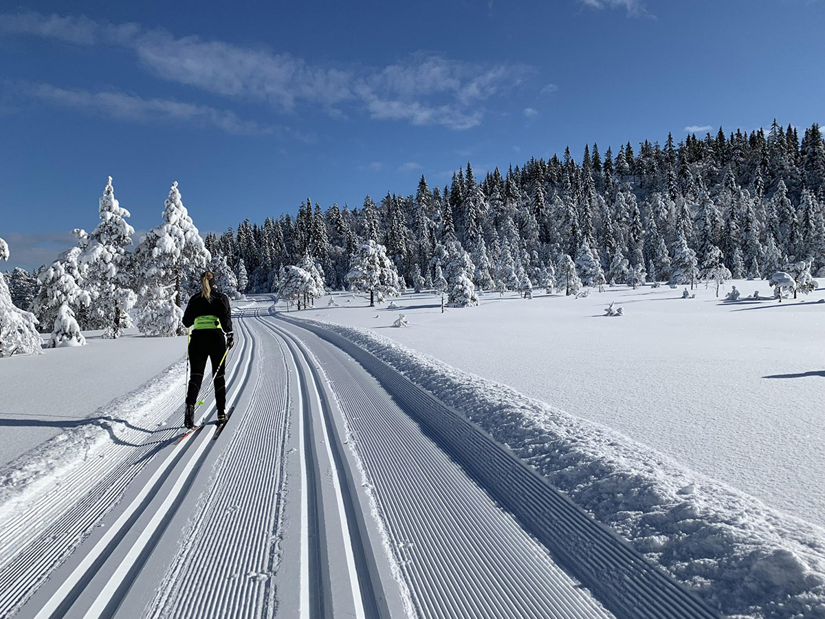 Langlaufen in Varmland - Zweden